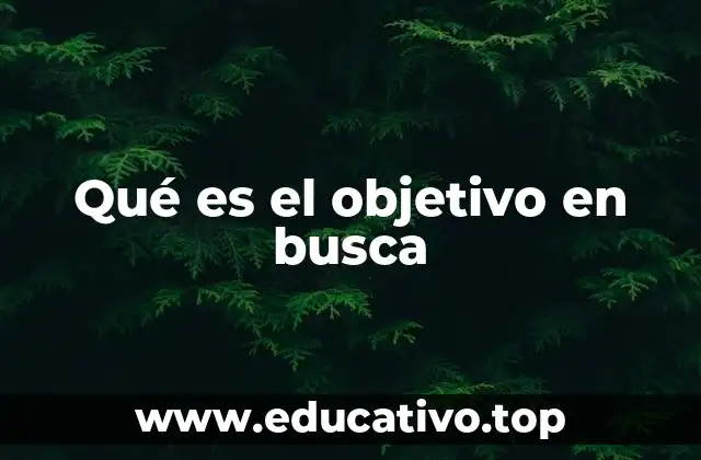 Qué es el objetivo en busca