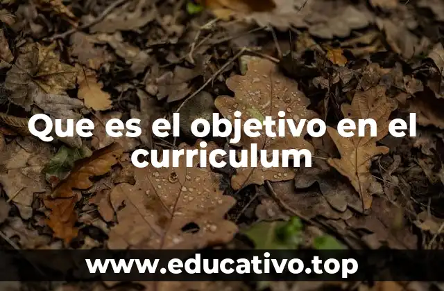 Que es el objetivo en el curriculum