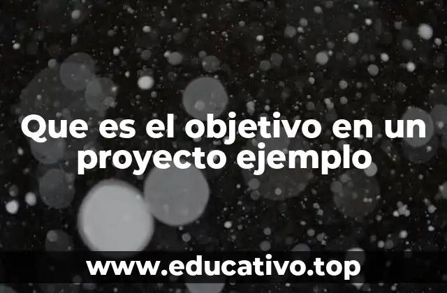 Que es el objetivo en un proyecto ejemplo