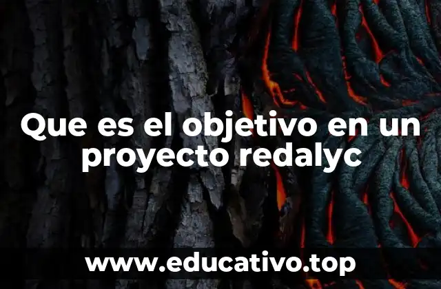 Que es el objetivo en un proyecto redalyc