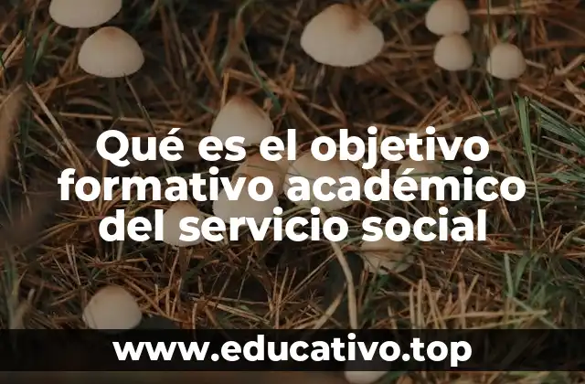 La importancia del servicio social en la formación universitaria