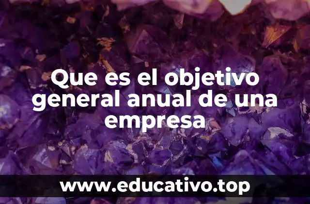 Que es el objetivo general anual de una empresa