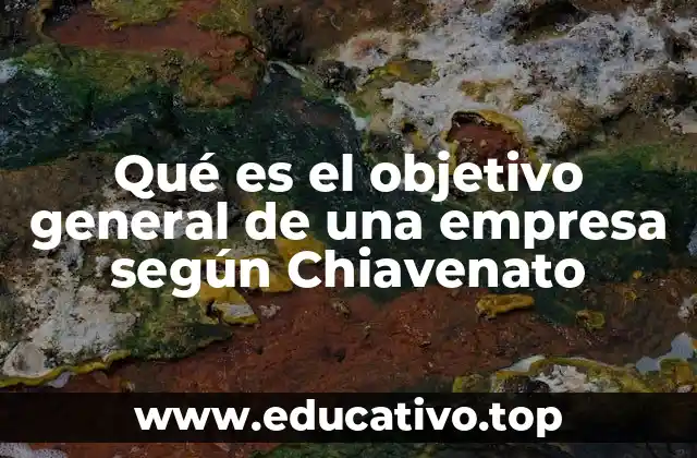 Qué es el objetivo general de una empresa según Chiavenato