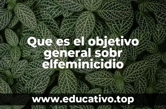 Que es el objetivo general sobr elfeminicidio