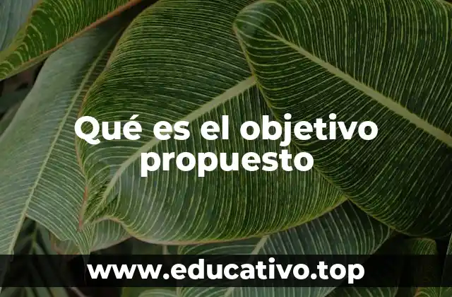Qué es el objetivo propuesto