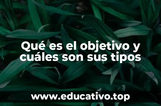 Qué es el objetivo y cuáles son sus tipos