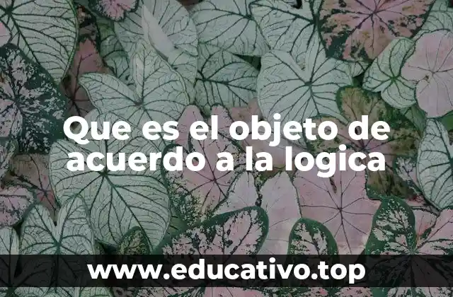 Que es el objeto de acuerdo a la logica