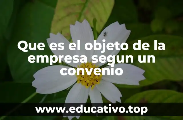 Que es el objeto de la empresa segun un convenio