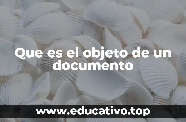 Que es el objeto de un documento