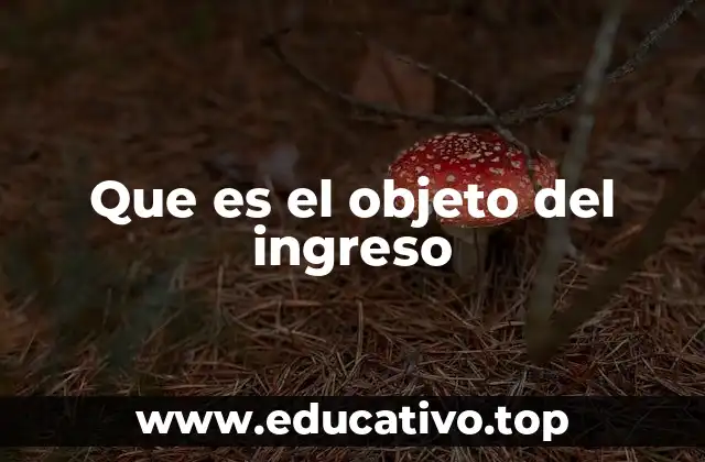 Que es el objeto del ingreso