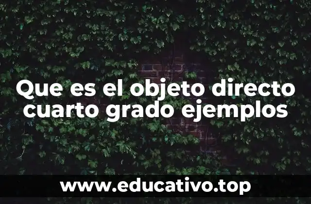 El objeto directo y su importancia en la oración