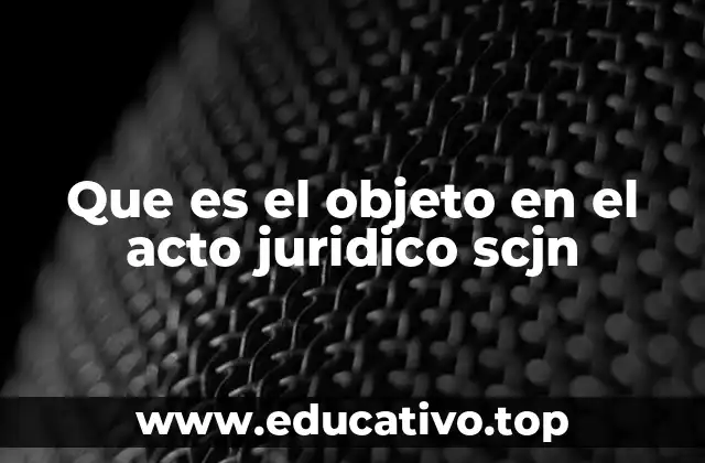 Que es el objeto en el acto juridico scjn