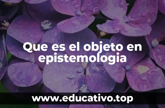 Que es el objeto en epistemologia