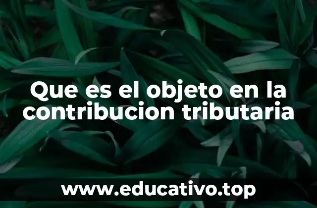 Que es el objeto en la contribucion tributaria