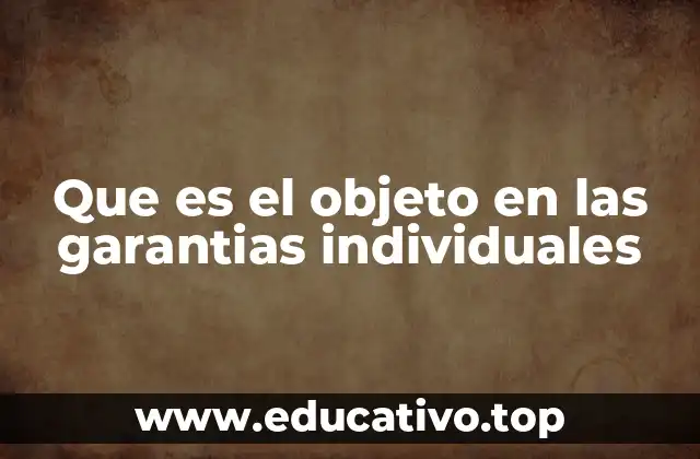 Que es el objeto en las garantias individuales