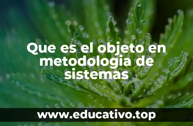 Que es el objeto en metodologia de sistemas
