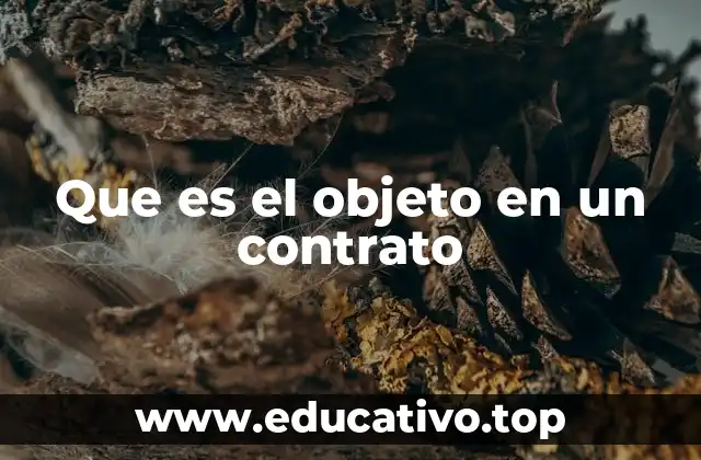 Que es el objeto en un contrato