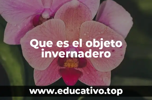 Que es el objeto invernadero