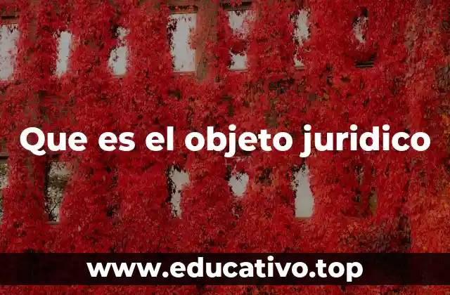 Que es el objeto juridico