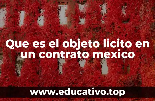 Que es el objeto licito en un contrato mexico