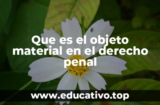 Que es el objeto material en el derecho penal