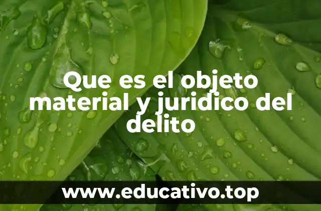 Que es el objeto material y juridico del delito