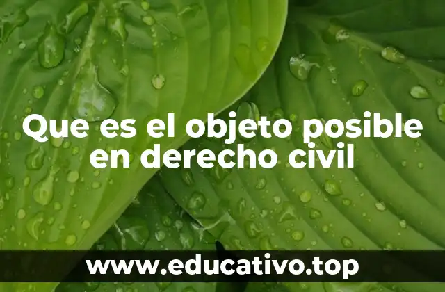 Que es el objeto posible en derecho civil