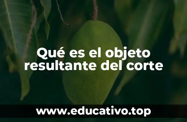 Qué es el objeto resultante del corte