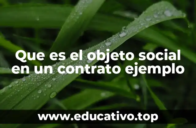 Que es el objeto social en un contrato ejemplo