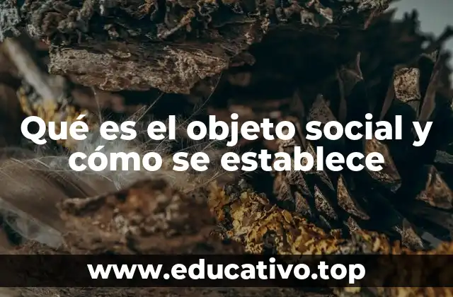 Qué es el objeto social y cómo se establece