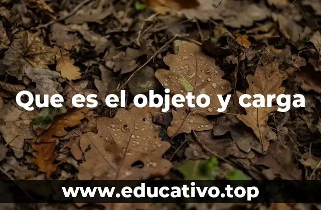 Que es el objeto y carga