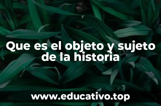 Que es el objeto y sujeto de la historia