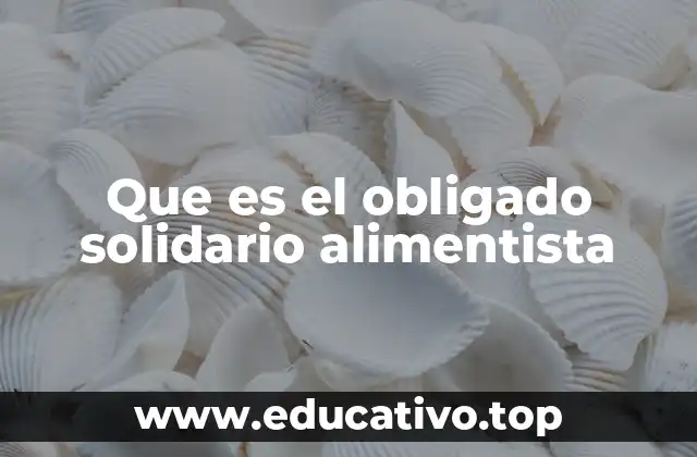 Que es el obligado solidario alimentista