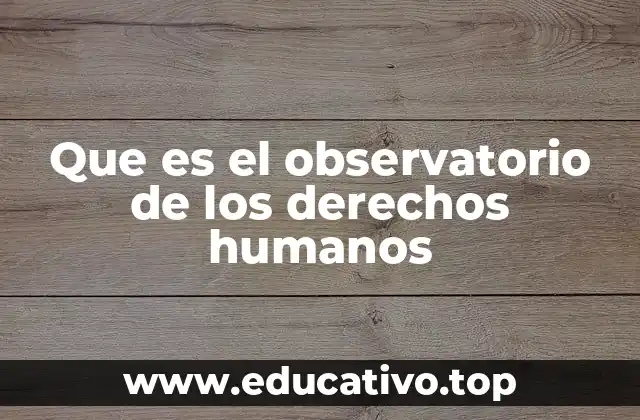 Que es el observatorio de los derechos humanos