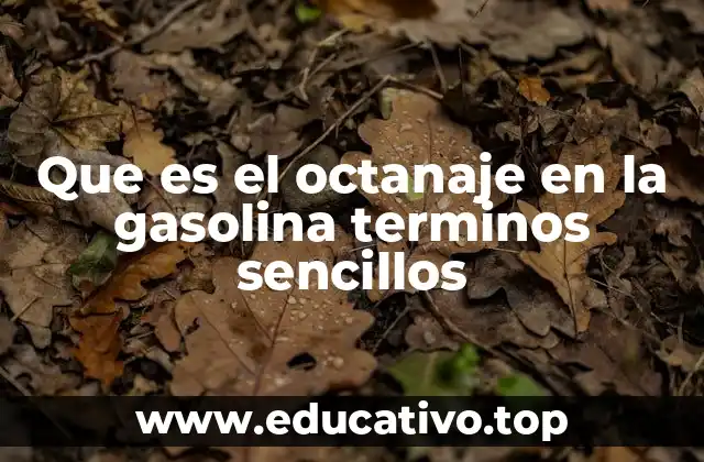 Que es el octanaje en la gasolina terminos sencillos