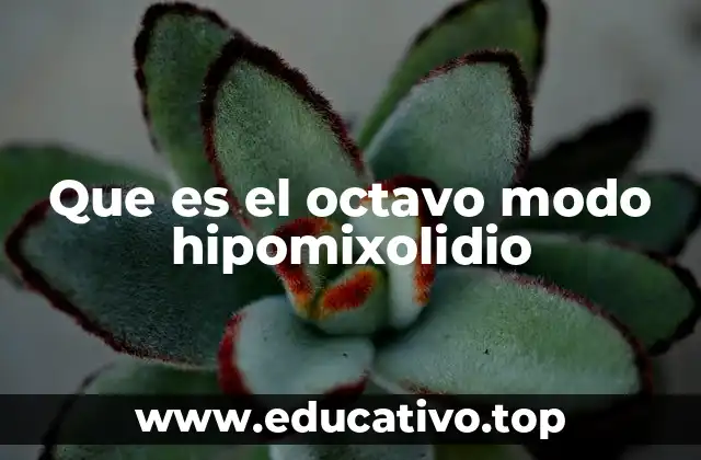Que es el octavo modo hipomixolidio