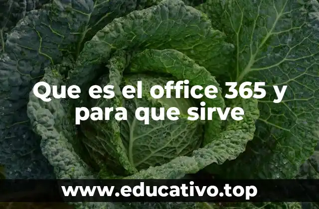 Que es el office 365 y para que sirve