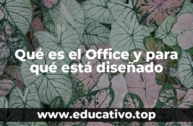 Qué es el Office y para qué está diseñado