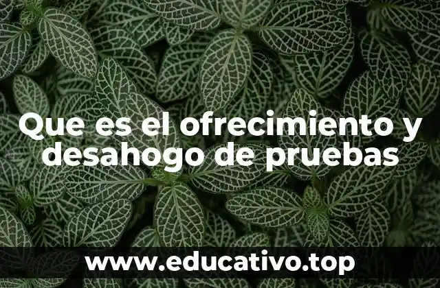 Que es el ofrecimiento y desahogo de pruebas
