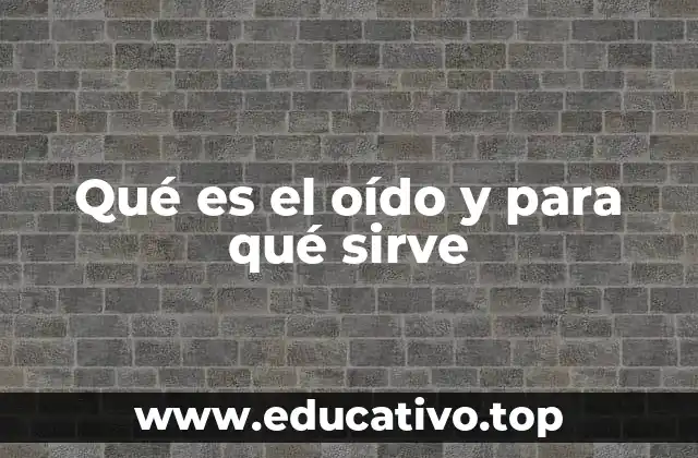 Qué es el oído y para qué sirve