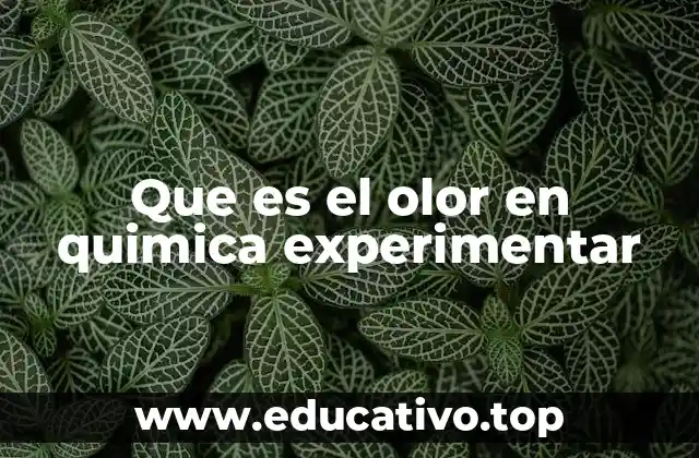 Que es el olor en quimica experimentar