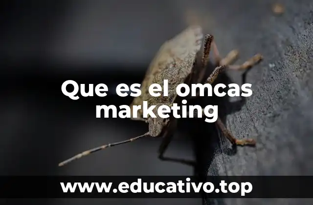 Que es el omcas marketing