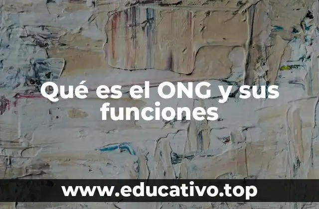 Qué es el ONG y sus funciones
