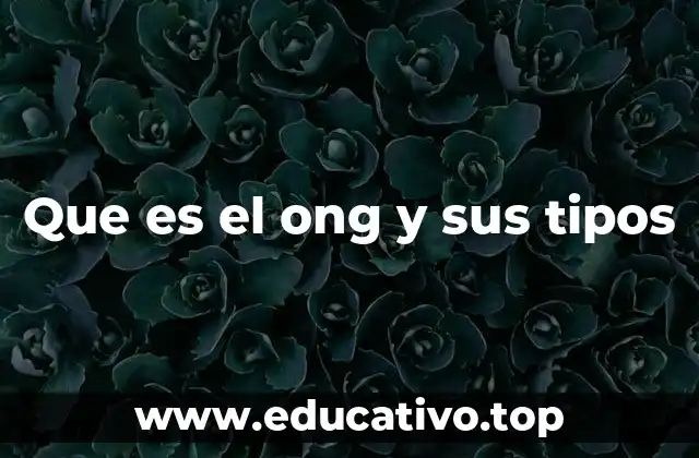 Que es el ong y sus tipos