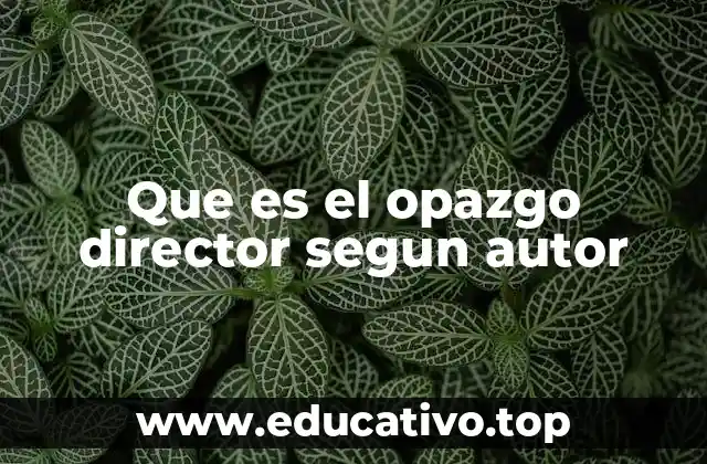 Que es el opazgo director segun autor