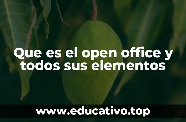 Que es el open office y todos sus elementos