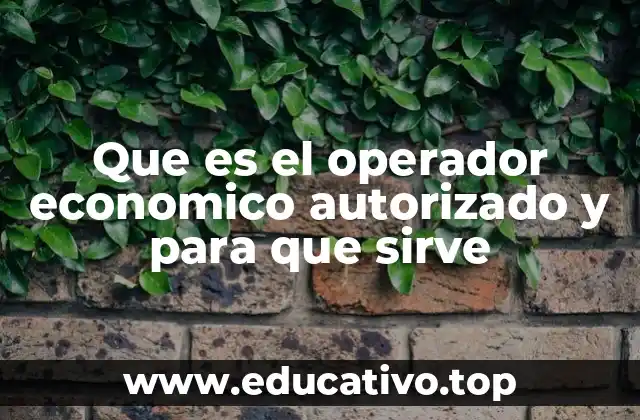Que es el operador economico autorizado y para que sirve