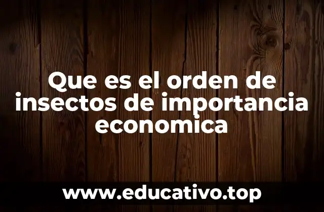 Que es el orden de insectos de importancia economica