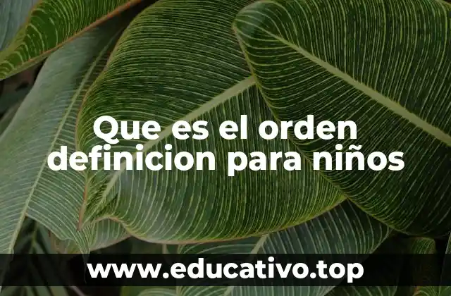 Que es el orden definicion para niños