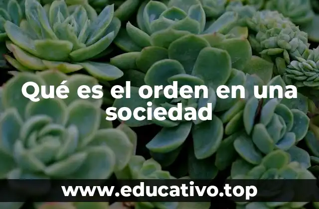 Qué es el orden en una sociedad